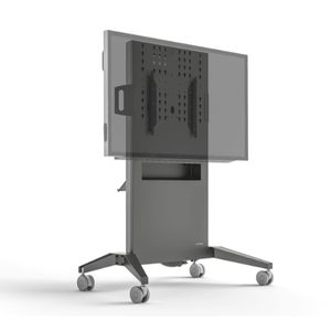 Salamander Fixed Height Mobile Stand with large display, sturdy design, and handles.