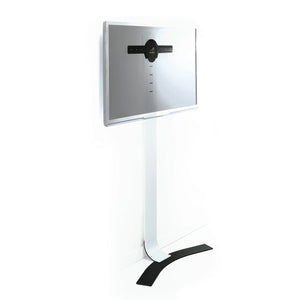 Acadia Large Fixed Height Wall Stand holding 65" display with cable management.